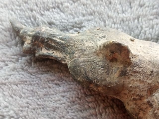 งั่ง (ไอ้งั่ง) รูปที่ 11