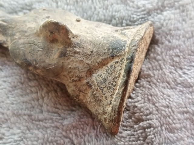 งั่ง (ไอ้งั่ง) รูปที่ 12