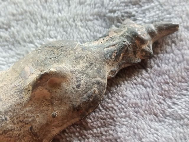 งั่ง (ไอ้งั่ง) รูปที่ 13