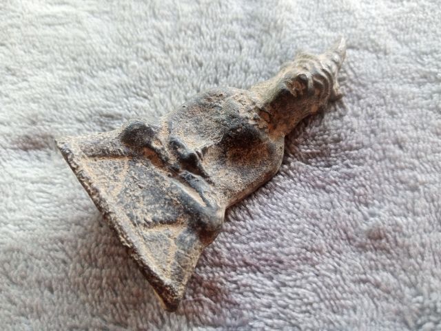 งั่ง (ไอ้งั่ง) รูปที่ 2