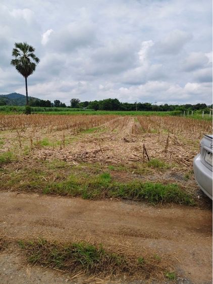 ขายที่ดิน 1 ไร่ วิวภูเขา สวยมาก