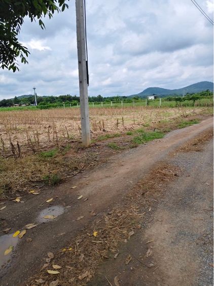 ใช่ ขายที่ดิน 1 ไร่ วิวภูเขา สวยมาก รูปที่ 2