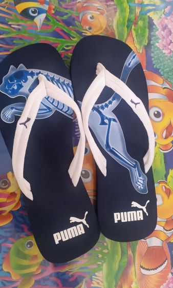 รองเท้าแตะ PUMA รูปที่ 2