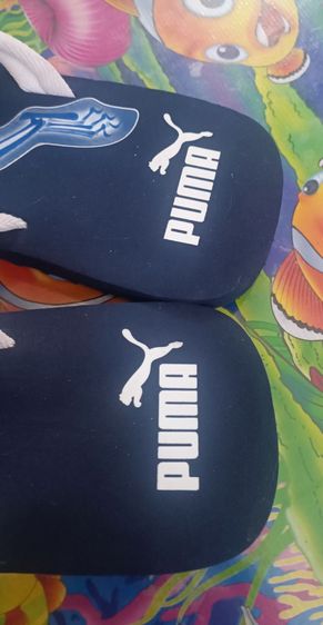 รองเท้าแตะ PUMA รูปที่ 5