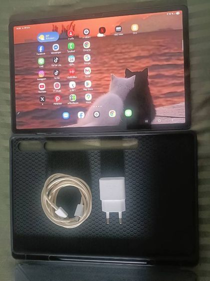 256 GB Samsung galaxy tab s9 plus 5G 