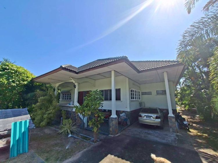 บ้านขนาดใหญ่ 3นอน 3 น้ำ มีบ่อปูนขนาดใหญ่ 8 บ่อ พร้อมทำธุรกิจ ใกล้ตัวเมือง