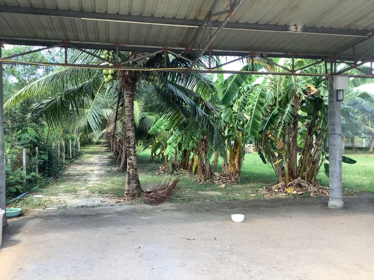 ขายที่ดิน 3 ไร่ อ่าวน้อย ใกล้ทะเล ถนนคอนกรีต