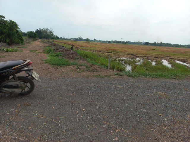 ขายที่ดิน 2ไร่ รูปที่ 3