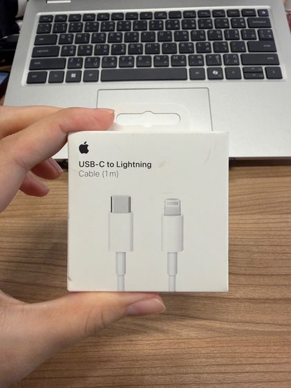Apple USB-C to Lightning Cable