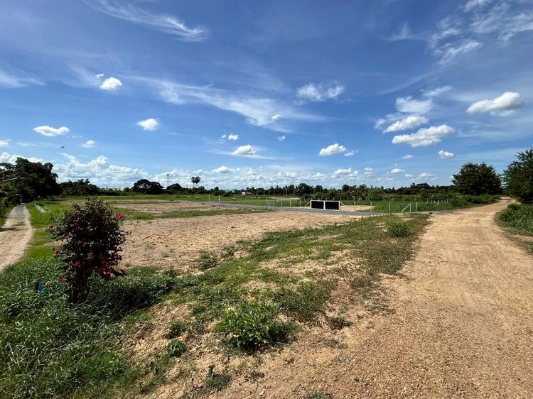 ที่ดินไม่ถึงล้าน  คุ้มค่า เก็บทำกำไรได้ นครปฐม สระกระเทียม รูปที่ 3
