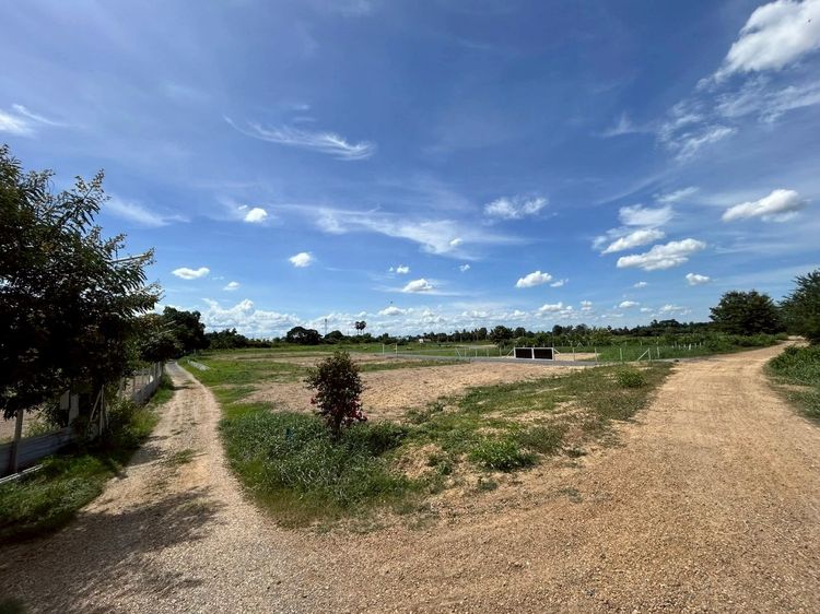 ที่ดินไม่ถึงล้าน  คุ้มค่า เก็บทำกำไรได้ นครปฐม สระกระเทียม รูปที่ 4