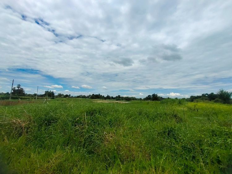 ที่ดินไม่ถึงล้าน คุ้มค่า เก็บทำกำไรได้ นครปฐม ต.สระกะเทียม รูปที่ 3