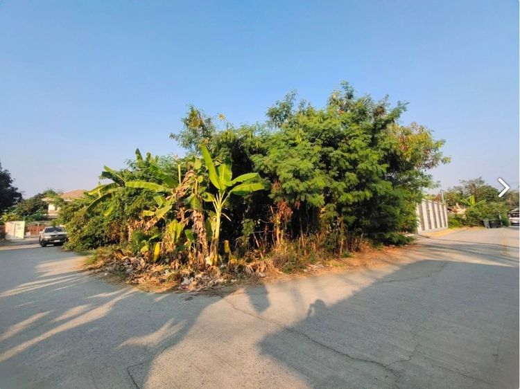 ขายที่ดินมุมสวย ทำเลทอง “พุทธมณฑลสาย 1 ซอย 5 รูปที่ 2