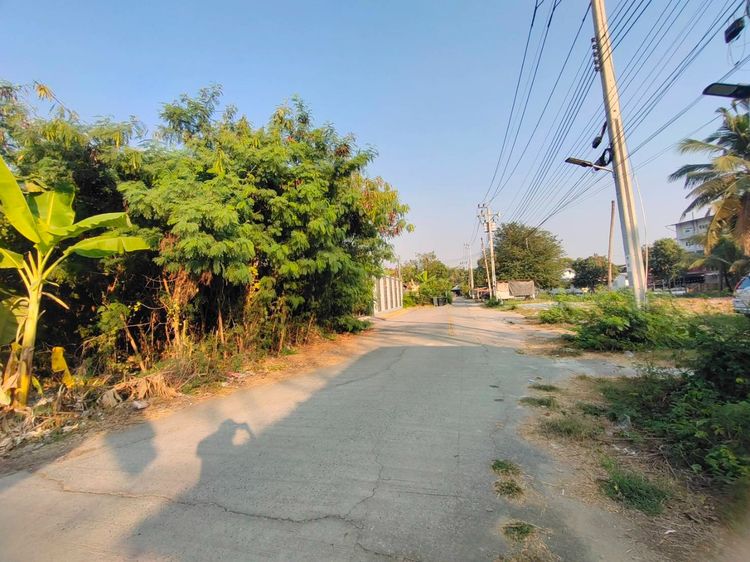 ขายที่ดินมุมสวย ทำเลทอง “พุทธมณฑลสาย 1 ซอย 5 รูปที่ 3
