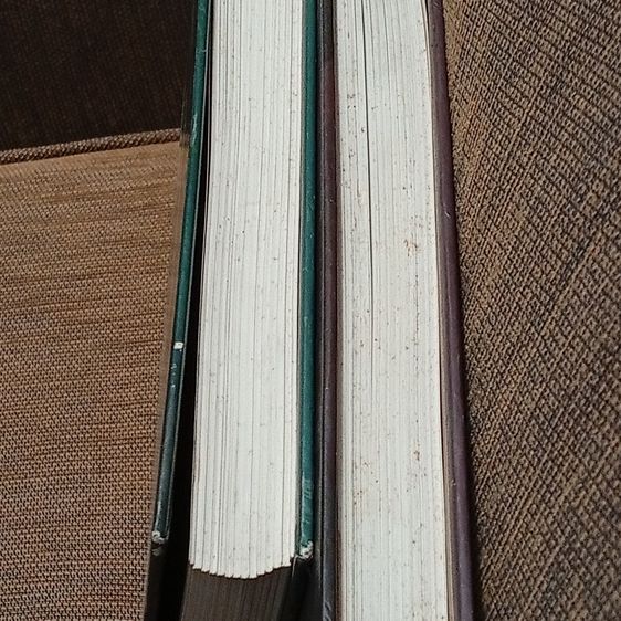 หนังสือการแต่งกายไทย วิวัฒนาการจากอดีตสู่ปัจจุบัน เล่ม 1-2 รูปที่ 10