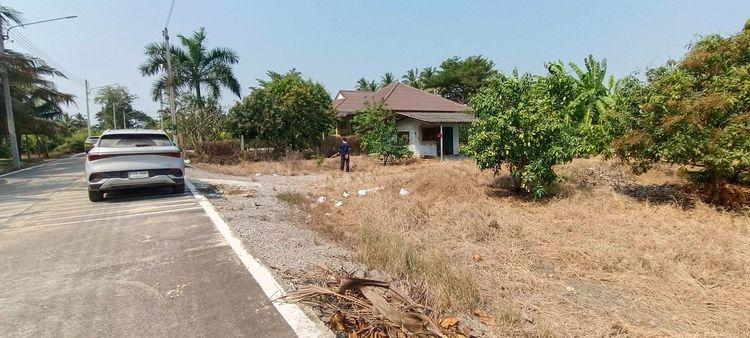 ขายที่ดินสวนผลไม้ 388 ตร.ว. ซอยร่วมใจพัฒนา หนองนกไข่ กระทุ่มแบน สมุทรสาคร รูปที่ 4