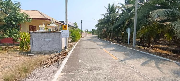 ขายที่ดินสวนผลไม้ 388 ตร.ว. ซอยร่วมใจพัฒนา หนองนกไข่ กระทุ่มแบน สมุทรสาคร รูปที่ 3