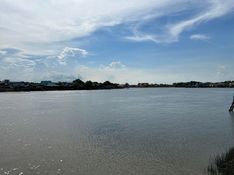 ขายที่ดินติดแม่น้ำบางตะบูน6ไร่3งาน12ตรว.ใกล้ปากอ่าวบางตะบูน ด้านหน้าติดถนน2021(เส้นทางลัดคลองโคน พระราม2-ชะอำ)