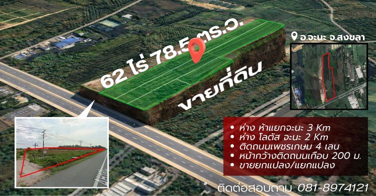 ที่ดิน 62 ไร่เศษ จะนะ