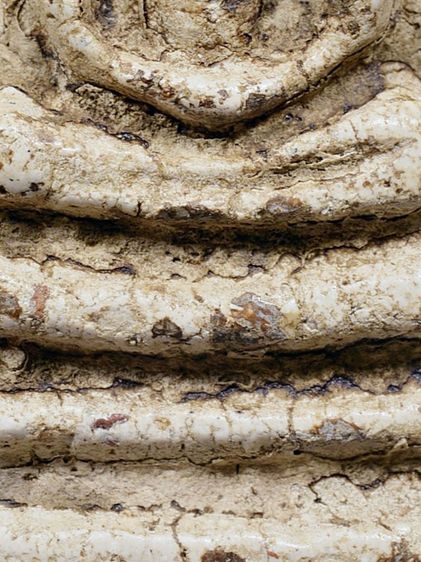 อกกระบอกใหญ่ - มีมวลสาร 1ในไม่กี่องค์  - พิมพ์สร้างน้อย - หายาก ให้เช่า พระบ้านสวยระดับติดเบอร์ พระสมเด็จวัดระฆัง พิมพ์เจดีย์ใหญ่ สองคลอง รูปที่ 9