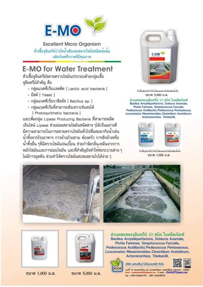 E-MO blue รูปที่ 5