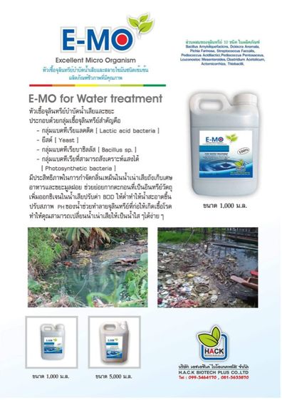 E-MO blue รูปที่ 3