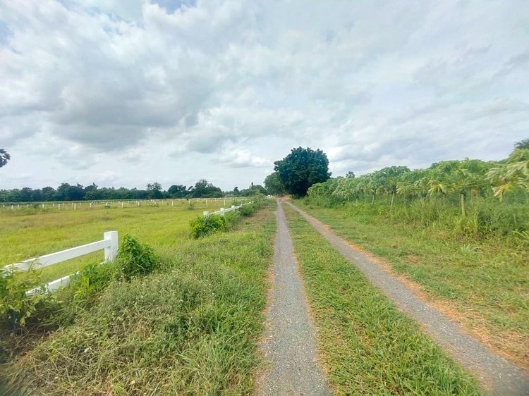  ขายที่ดินวิวเขา 1 ไร่ โฉนดครุฑแดง ท่าม่วง กาญจนบุรี 