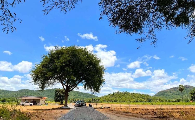  ขายที่ดินวิวเขา 1 ไร่ โฉนดครุฑแดง ท่าม่วง กาญจนบุรี  รูปที่ 2