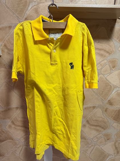 เสื้อโปโล รูปที่ 5
