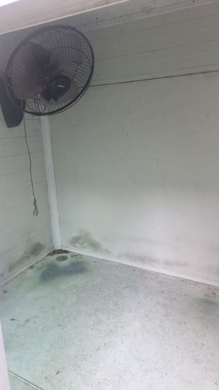 ขายบ้านสุนัข ขนาด 2 เมตรคูณ 2 เมตรมีพัดลมให้ 1 ตัว รูปที่ 4