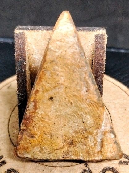 นางพญา รูปที่ 4