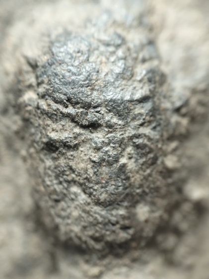 ❌ปิดครับ❌พระกาบปลีเนื้อดินลำพูนครับ รูปที่ 8