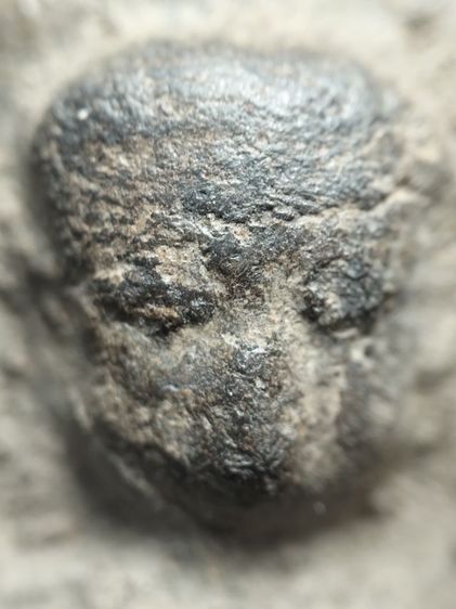 ❌ปิดครับ❌พระกาบปลีเนื้อดินลำพูนครับ รูปที่ 10