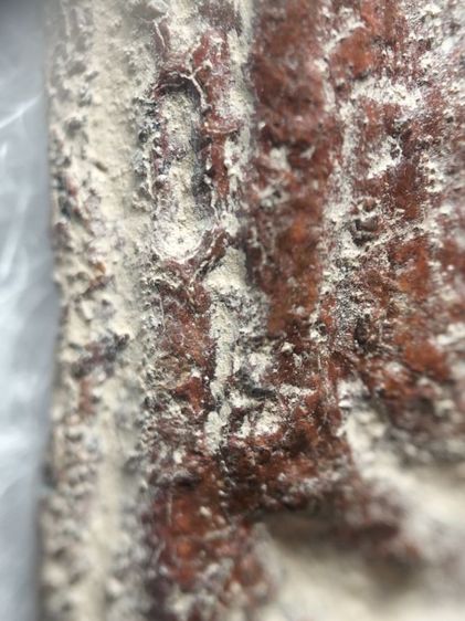 ❌ติดจอง❌พระร่วงยืนครับเนื้อชิน รูปที่ 11