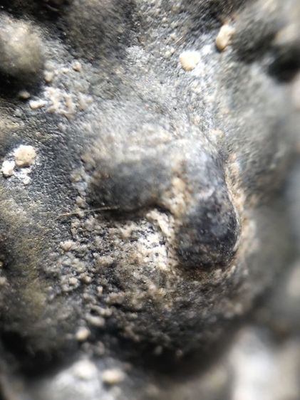 ❌ปิดครับ ❌พระดอยไซเนื้อชินลำพูน รูปที่ 6