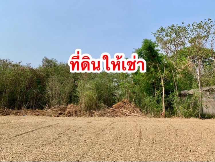 ที่ดินเปล่าให้เช่า ทำเลดี อยู่หลังปั๊มPT เนื้อที่1ไร่กว่า แหล่งชุมชน ติดวัดตะคร้ำเอน