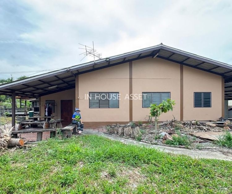 ลดราคาถูกมาก ที่ดินพร้อมสิ่งปลูกสร้าง (พื้นที่ 1-0-42 ไร่) บ้านชั้นเดียว 2 หลัง ไทรน้อย ราษฎร์นิยม นนทบุรี เหมาะทำเป็นบ้านสวน บรรยากาศดีม รูปที่ 2