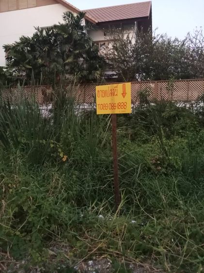 ขายที่ดิน แบริ่ง