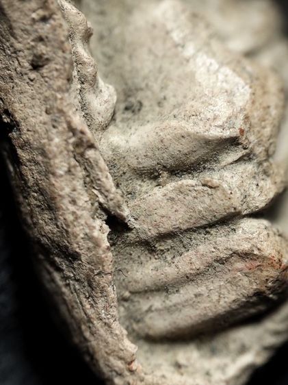 ❌ปิดครับ ❌พระรอดลำพูนพืมพ์ใหญ่เนื้อขาวครับ รูปที่ 6