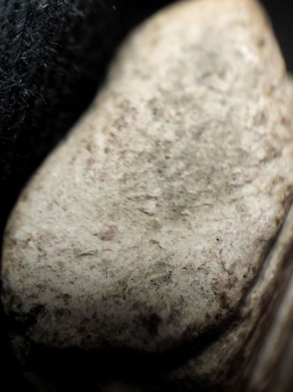 ❌ปิดครับ ❌พระรอดลำพูนพืมพ์ใหญ่เนื้อขาวครับ รูปที่ 13