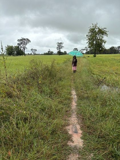 ขายที่นา 12 ไร่กว่า ราคาถูก อ.กันทรารมย์ จ.ศรีสะเกษ เจ้าของขายเอง รูปที่ 4