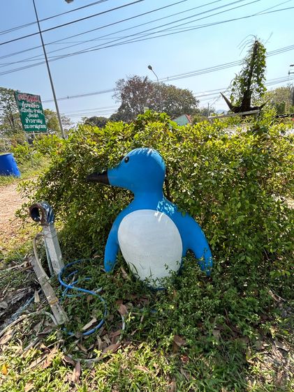 ขายของเเต่งร้าน  ราค่าถูก เริ่มที่  500 บาท งาน  diy วินเทจ   เลิกกิจการ คาเฟ่ รูปที่ 12