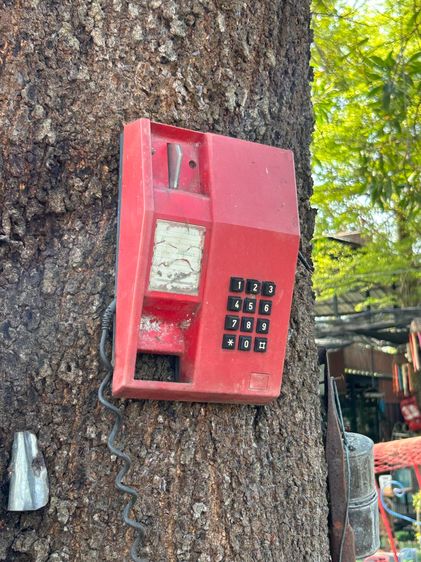 ขายของเเต่งร้าน  ราค่าถูก เริ่มที่  500 บาท งาน  diy วินเทจ   เลิกกิจการ คาเฟ่ รูปที่ 18