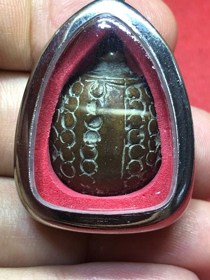 พญาเต่าเรือน