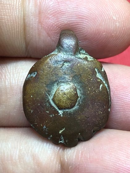 พญาเต่าเรือน รูปที่ 6