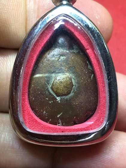 พญาเต่าเรือน รูปที่ 2