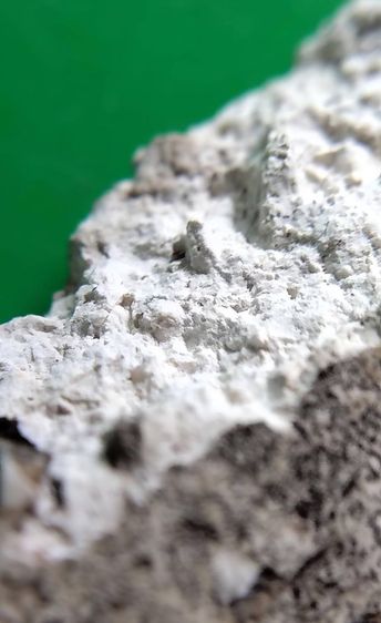 พระสมเด็จวัดระฆัง บางขุนพรหม เกศไชโย หลวงปู่ภู หลวงปู่นาค รูปที่ 4