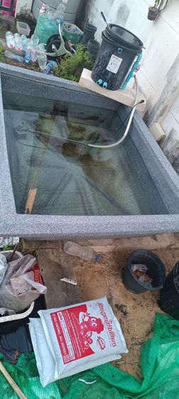 ขายบ่อเลี้ยงปลา