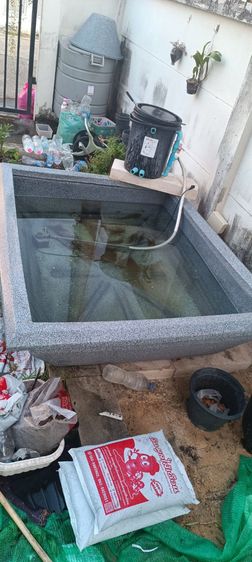 ขายบ่อเลี้ยงปลา รูปที่ 2