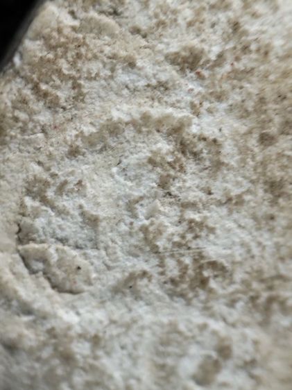 พระผงแม่ชีบุญเรือนครับ รูปที่ 10